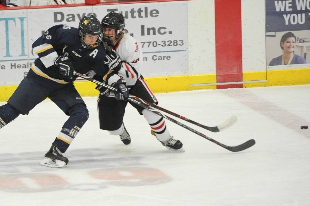 Photos: State hockey tournament