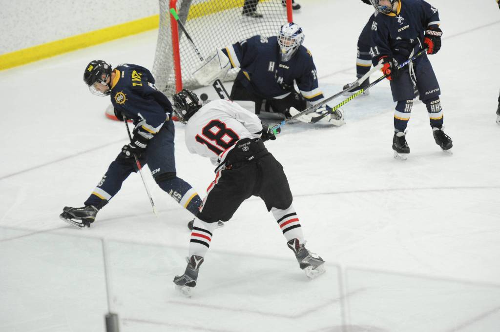 Photos: State hockey tournament