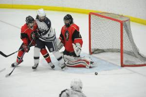 Photos: State hockey tournament