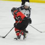 Photos: State hockey tournament