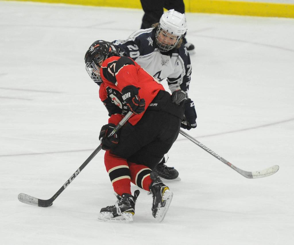 Photos: State hockey tournament