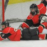 Photos: State hockey tournament