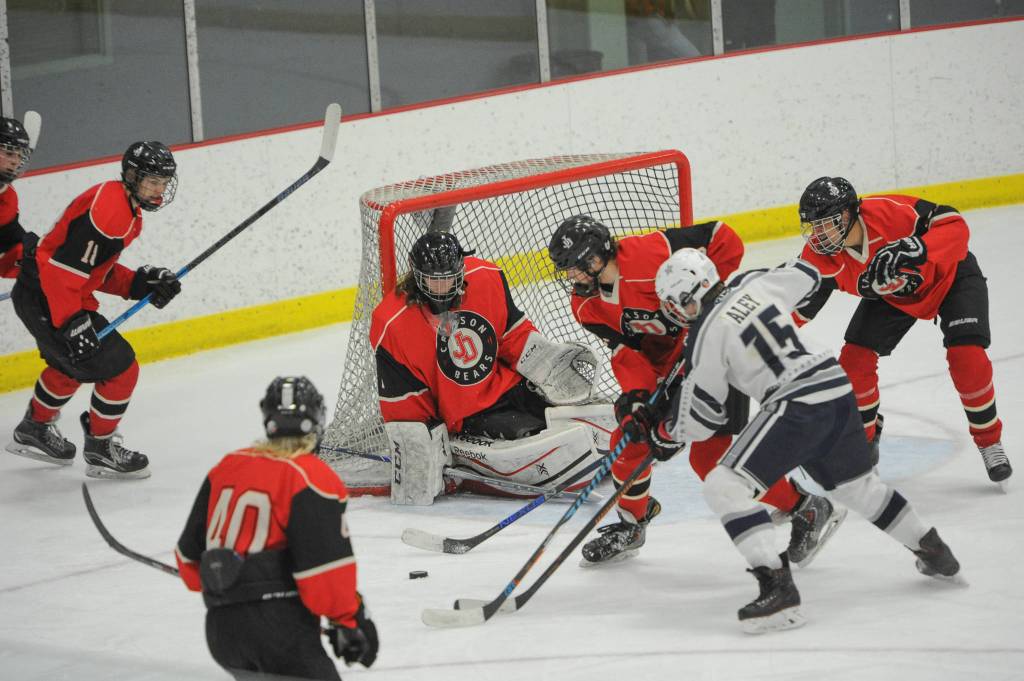 Photos: State hockey tournament