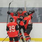Photos: State hockey tournament