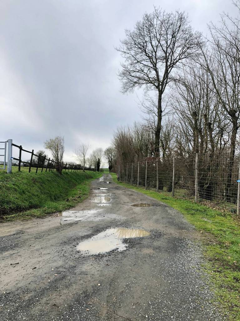 One of the many backroads. (Bridget McTague | For the Juneau Empire)