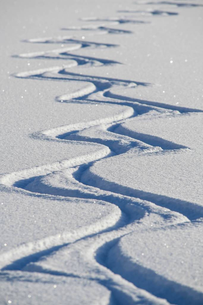 An ice skaters tracks left in the snow on Mendenhall Lake on Monday, Feb. 11, 2019. (Michael Penn | Juneau Empire)