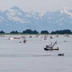 Purse seiners work the waters for salmon near Amalga Harbor in Favorite Channel during an opening in July 2012. (Michael Penn | Juneau Empire File)