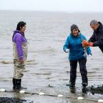 In this September 2, 2015 photo, former President Barack Obama with two Alaskans and a soon-to-be-viral spawning salmon on Kanakanak Beach in Dillingham, Alaska. (Courtesy Photo | The White House)