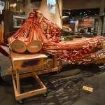 State museum wants help finishing ‘fantastically large’ octopus project