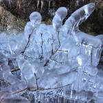 People may have seen these twigs, but not coated in ice and not on the day the author did. Thats reason to be happy. (Jeff Lund | For the Juneau Empire)