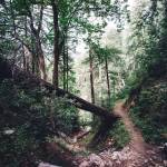 A ‘secret’ trail becomes new and exciting again