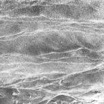 The shifting whispering black sands of Boy Scout Beach at ebb tide, March 22, 2019. (Courtesy Photo | Denise Carroll)