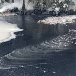 Icy swirls near a broken beaver dam on Peterson Creek., Jan. 18, 2019. (Courtesy Photo | Denise Carroll)