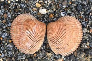 Art in Unusual Places