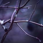 (Unsplash | Kristina Flour)