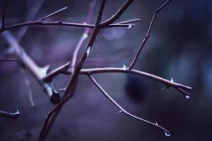 (Unsplash | Kristina Flour)