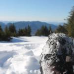 The happy life of an average Alaskan