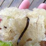 Planet Alaska: Woven with herring