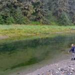 An angler stands at a pool of pink salmon. (Courtesy Photo | Jenny Weis)