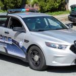 Police calls for Friday, March 29, 2019