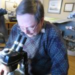 Geologist Tom Bundtzen uses a binocular microscope to look at one of the oldest rocks in Alaska, which formed more than 2 billion years ago and was found near Iditarod. (Courtesy Photo | Cheryl Bradley)