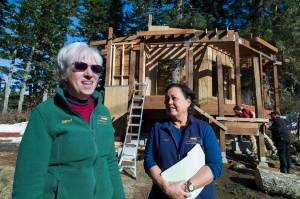 Eagle roost getting a boost