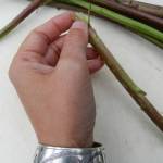 Vivian Mork Yeilk peels salmonberry shoots in Sitka. (Courtesy Photo | Vivian Mork Yeilk)