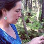 Planet Alaska: Brick and mortar, forest and trail