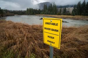 A man and his dogs are safe after a scare on the Mendenhall River