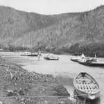 Horse-towed freight scows arrive at Ophir, on the upper Innoko River, from Dishkaket on July 24, 1910. (A.G. Maddren | United States Geological Survey)