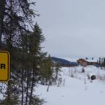 The abandoned site of Ophir in 2019. (Courtesy Photo | Ned Rozell)