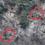 Rescuers rappel down Mount Juneau to get a stranded dog off a cliff above Perseverance Trail. The red circles show the rescuer, top right, and the dog, bottom left. (Michael Penn | Juneau Empire)