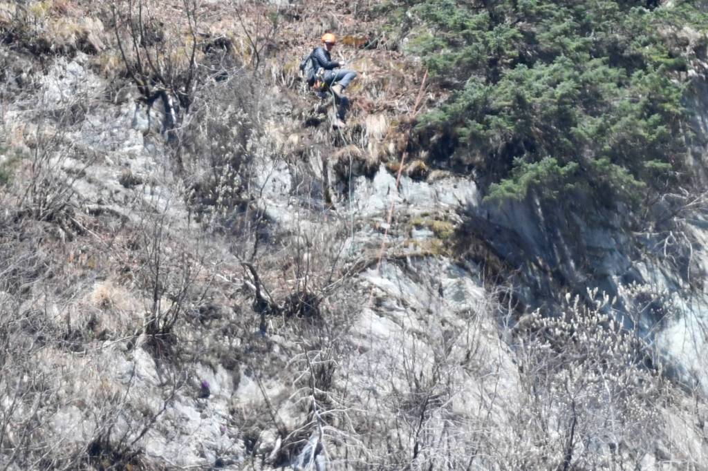 A rescuer rappels down Mount Juneau to get a stranded dog off a cliff above Perseverance Trail. (Michael Penn | Juneau Empire)