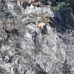 A rescuer rappels down Mount Juneau to get a stranded dog off a cliff above Perseverance Trail. (Michael Penn | Juneau Empire)