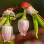 A fun game to play while hiking