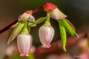 A fun game to play while hiking