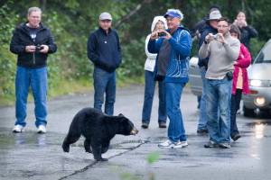 Opinion: Redefine the experience of visiting the Last Frontier