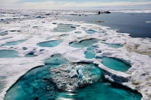 Trump administration reevaluating offshore drilling plans