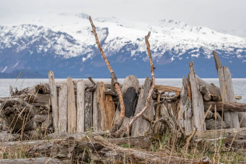 An artistic driftwood fortress. (Courtesy Photo | Kerry Howard)