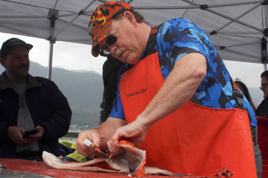 Mike Eberhardt fillets a salmon at the Maritime Festival on Saturday, May 4, 2019. (Alex McCarthy | Juneau Empire)