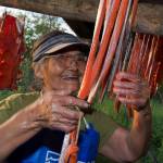 ‘The salmon way’: Book explores connection between Alaskans and the resilient fish