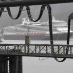 Committee makes ‘electrifying’ decision