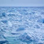 Sea ice is pictured off the coast of northern Alaska. (Courtesy Photo | Ned Rozell)