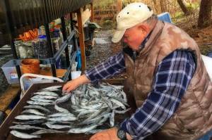 Planet Alaska: A bunch of hooligans at fishcamp