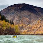 In this October 2018 photo, Bjorn Dihle takes in the fall colors while packrafting the Inklin River in British Columbia, Canada. (Courtesy Photo | Chris Miller)