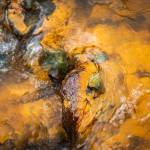 In this October 2018 photo, leaves and rocks coated in acid mine drainage from the Tulsequah Chief Mine flow into a creek in the Tulsequah River in British Columbia, Canada. (Courtesy Photo | Chris Miller)
