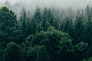 Pair of Alaskans killed in airplane crash outside Whitehorse