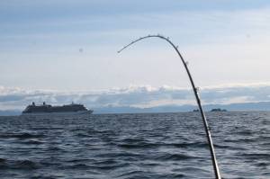 The curious, wild world of tourism in Southeast