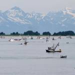 Purse seiners work the waters for salmon near Amalga Harbor in Favorite Channel during an opening in July 2012. (Michael Penn | Juneau Empire File)