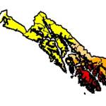 How dry is our rainforest? Southeast’s rare drought could threaten plants, animals, your power bill